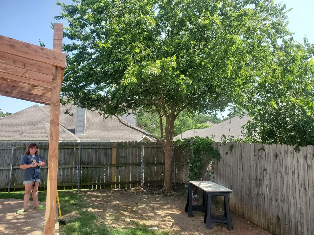 Custom lawn care service for beautiful yards across Denton, TX - BTB Lawn and Tree