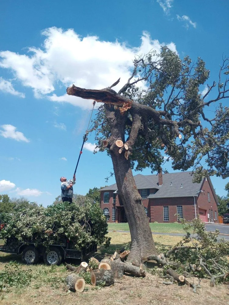 Top-rated garden landscaping for beautiful yards across Denton, TX - BTB Lawn and Tree