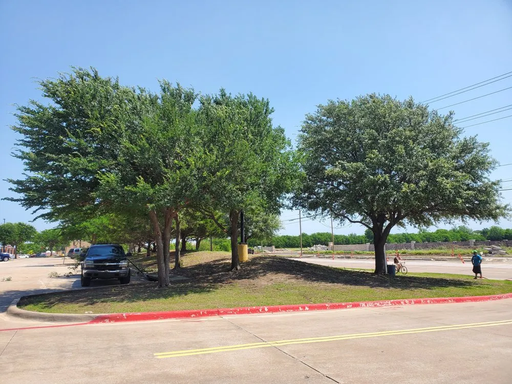 Custom garden landscaping near you in Denton, TX by BTB Lawn and Tree