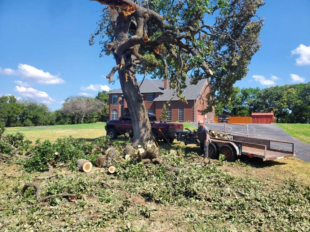 Custom yard cleanup service experts serving Denton, TX - BTB Lawn and Tree