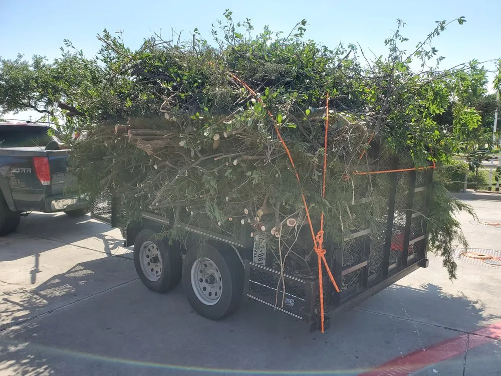 Top-rated lawn mowing service with custom design in Denton, TX by BTB Lawn and Tree