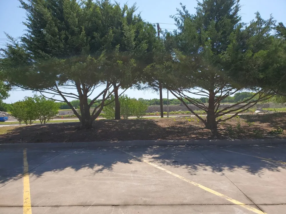 Local lawn mowing service experts serving Denton, TX - BTB Lawn and Tree