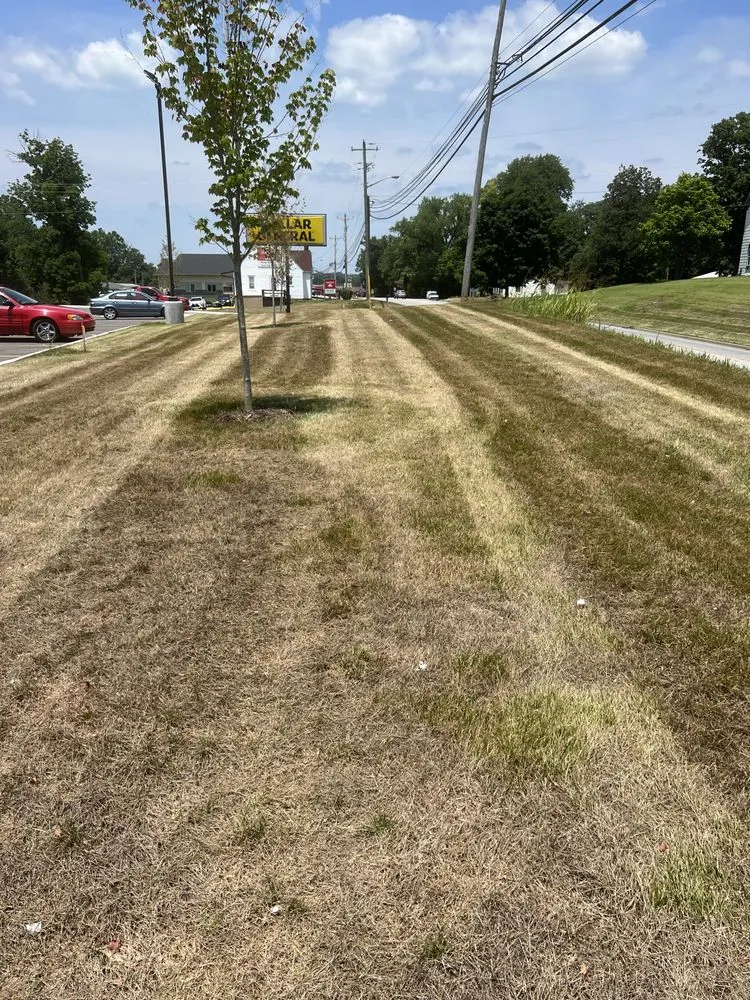 Reliable yard cleanup service for homes across Mauckport, IN - BTB Lawn Care