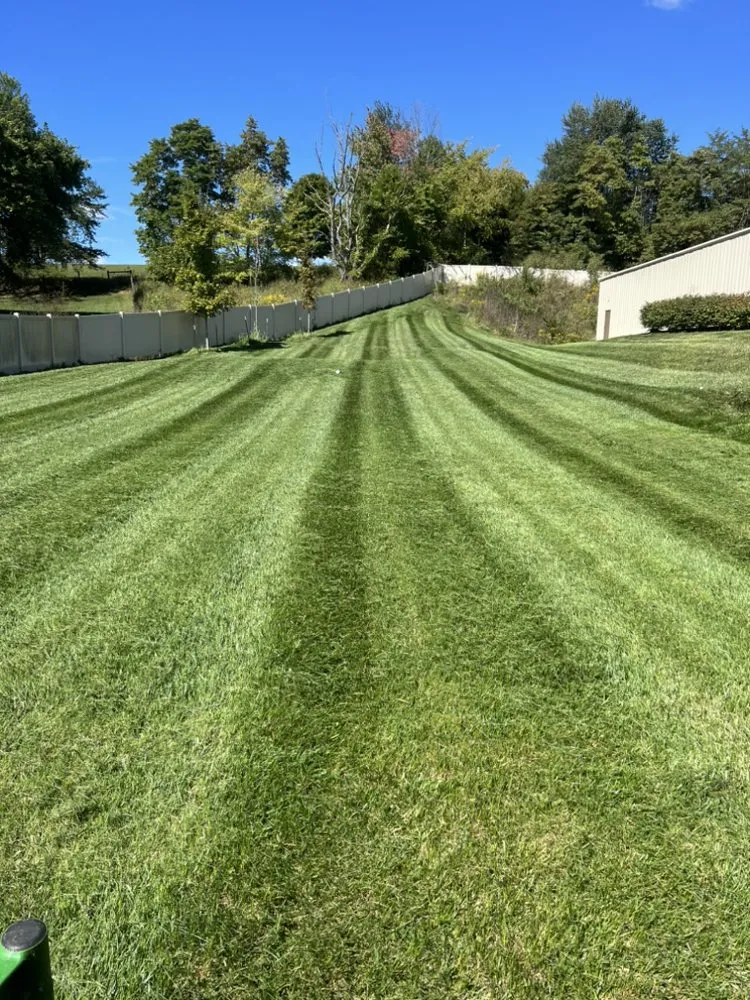Custom yard cleanup service in Mauckport, IN by BTB Lawn Care
