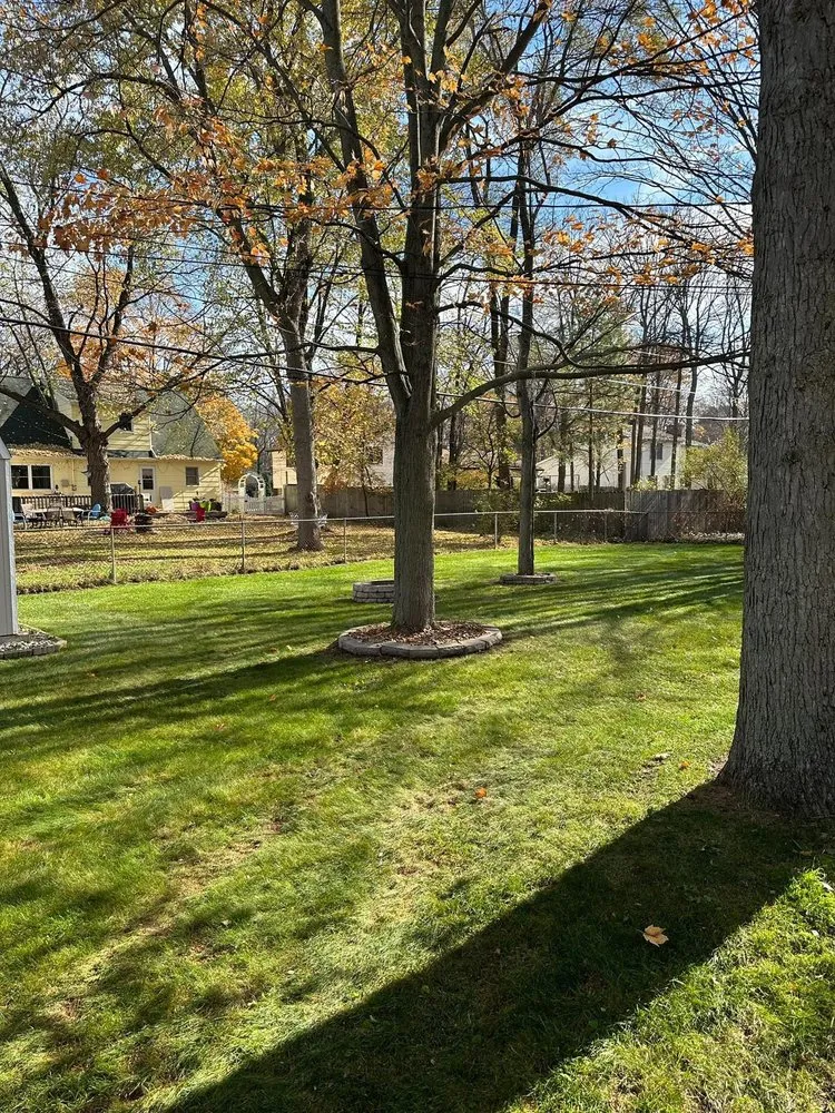 Trusted lawn mowing service experts serving Midland, MI - BTD Lawn Care and Property Services
