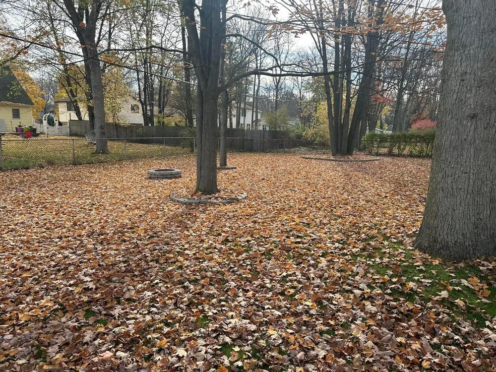 Custom lawn mowing service for beautiful yards in Midland, MI by BTD Lawn Care and Property Services