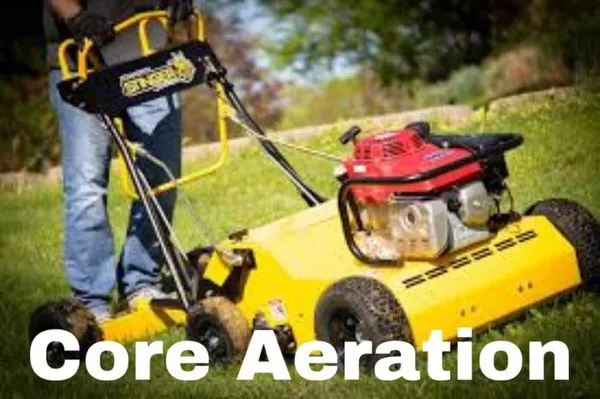 BTD Lawn Care and Property Services Logo