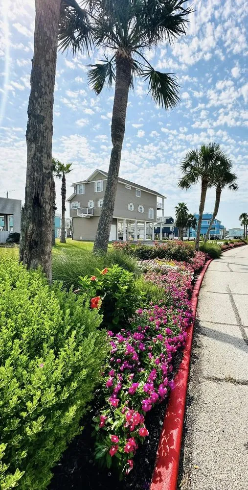 Trusted landscaping services experts serving Galveston, TX - BTLS Galveston