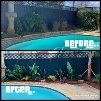 Reliable residential landscaping in Galveston, TX - BTLS Galveston