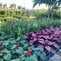 Expert outdoor landscaping in Galveston, TX - BTLS Galveston