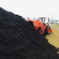 Custom yard maintenance experts serving Galveston, TX - BTLS Galveston