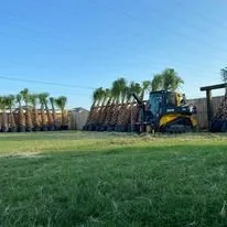 Reliable lawn mowing service in Galveston, TX - BTLS Galveston