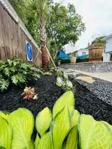 Professional landscaping services in Galveston, TX - BTLS Galveston