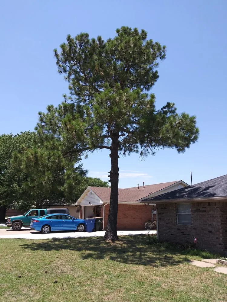 Reliable outdoor landscaping for residential properties in Lawton, OK by BTR Tree And Lawn Care