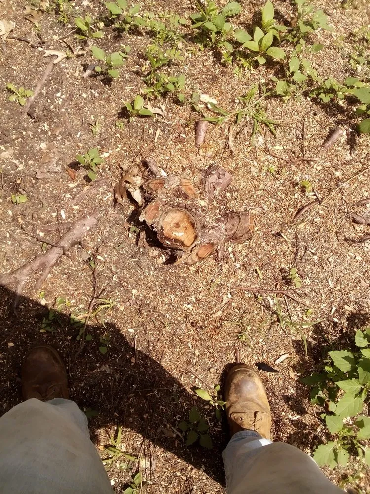 Custom lawn mowing service in Otsego, MI by B.T.'S Landscaping