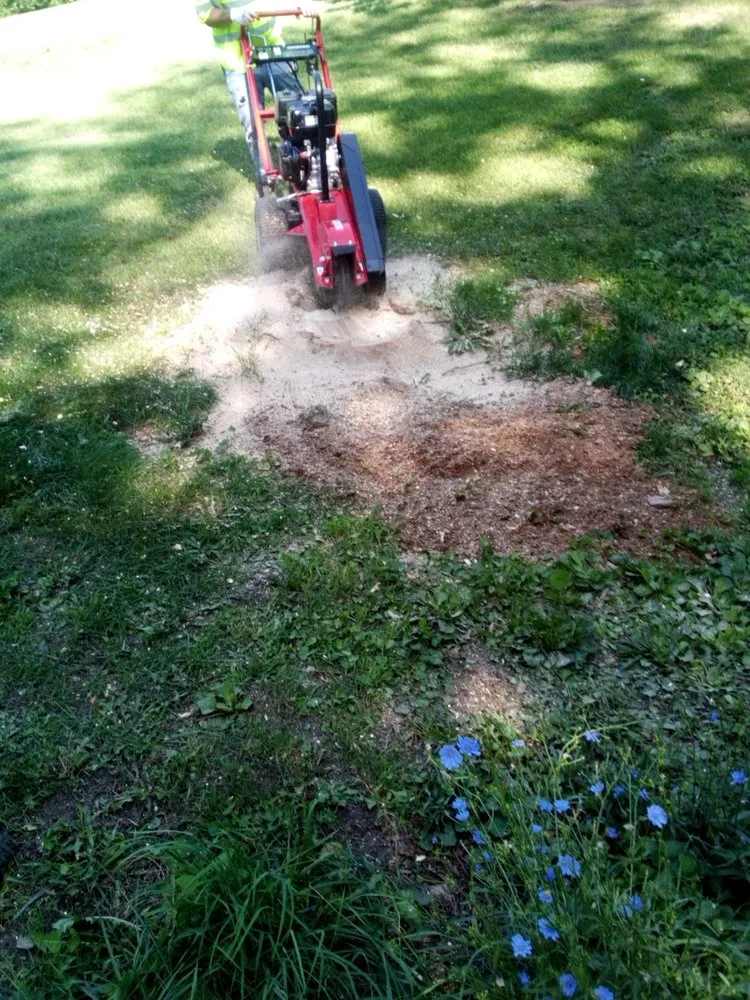 Professional outdoor landscaping in Otsego, MI by B.T.'S Landscaping