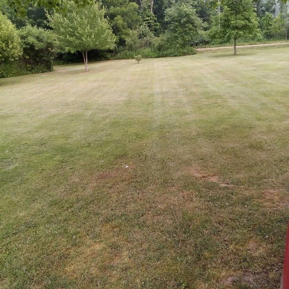 Reliable yard cleanup service in Otsego, MI - B.T.'S Landscaping