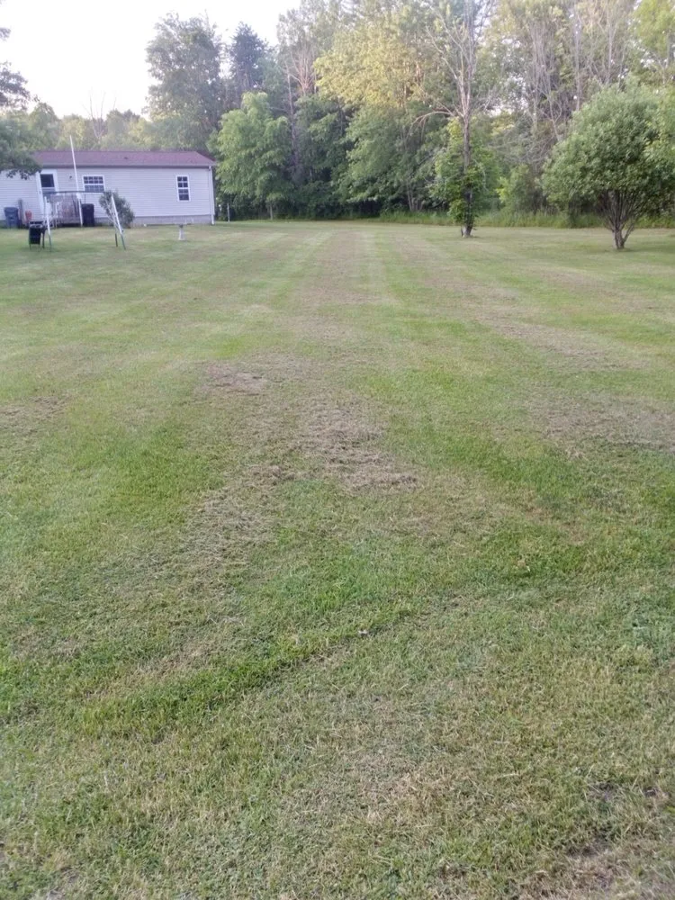 Expert landscape installation in Otsego, MI - B.T.'S Landscaping