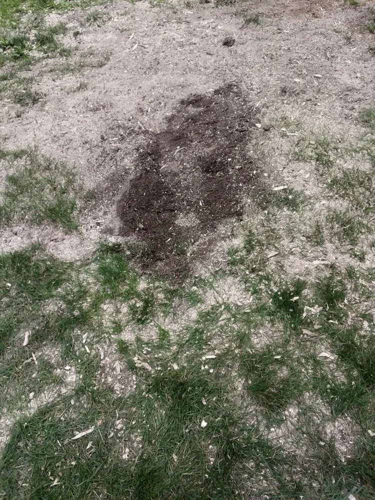 Affordable landscape installation for year-round maintenance in Otsego, MI by B.T.'S Landscaping