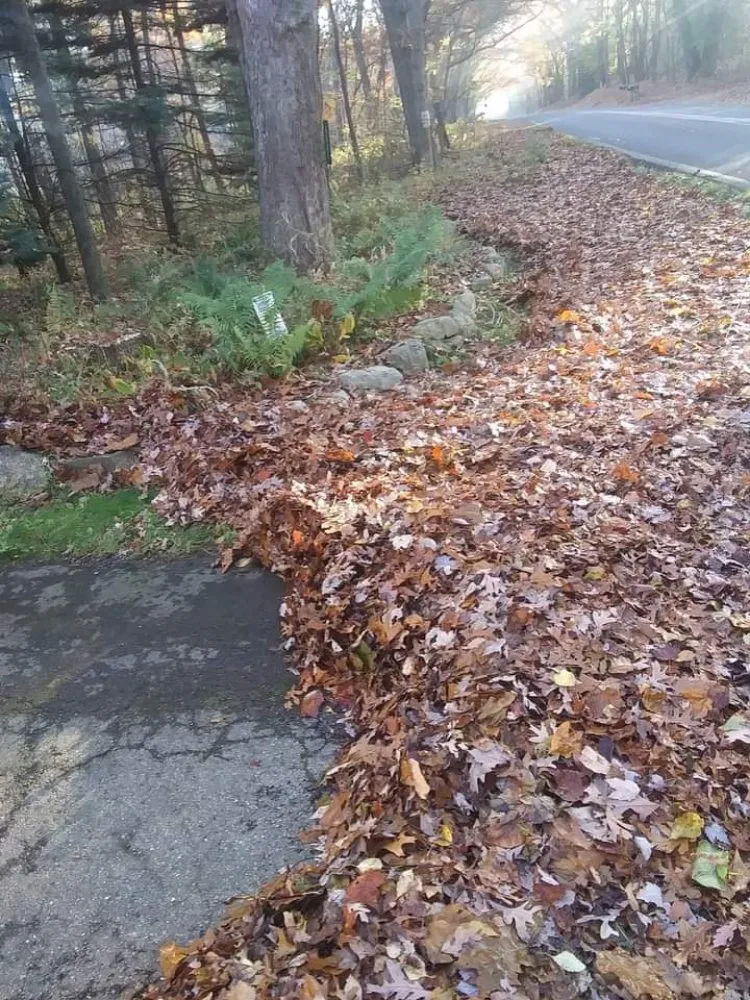 Expert lawn mowing service for homes across Otsego, MI - B.T.'S Landscaping