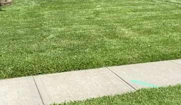 Top-rated yard maintenance experts serving Shelby, NC - BT's Lawn Service