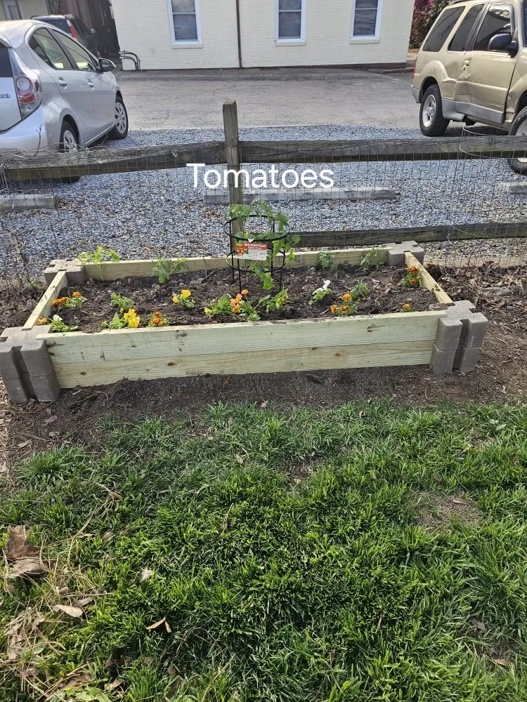 Custom landscaping services for year-round maintenance in Shelby, NC by BT's Lawn Service