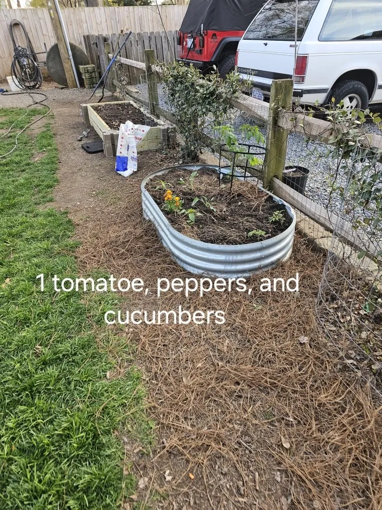 Professional lawn care service in Shelby, NC - BT's Lawn Service