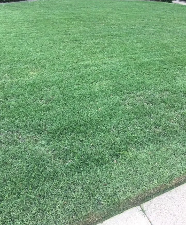 Reliable garden landscaping in Shelby, NC - BT's Lawn Service