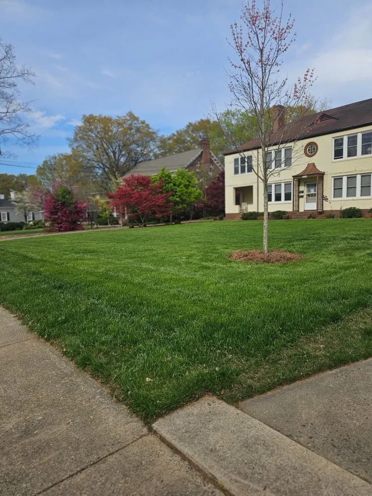 Local landscaping services experts serving Shelby, NC - BT's Lawn Service