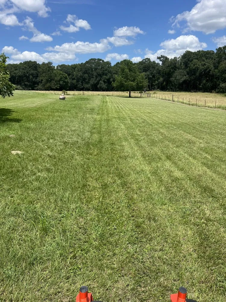 Expert yard cleanup service for outdoor upgrades in Bryan, TX by BTX Landscaping