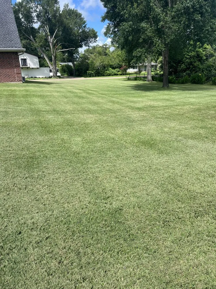 Top-rated landscape design for residential properties across Bryan, TX - BTX Landscaping