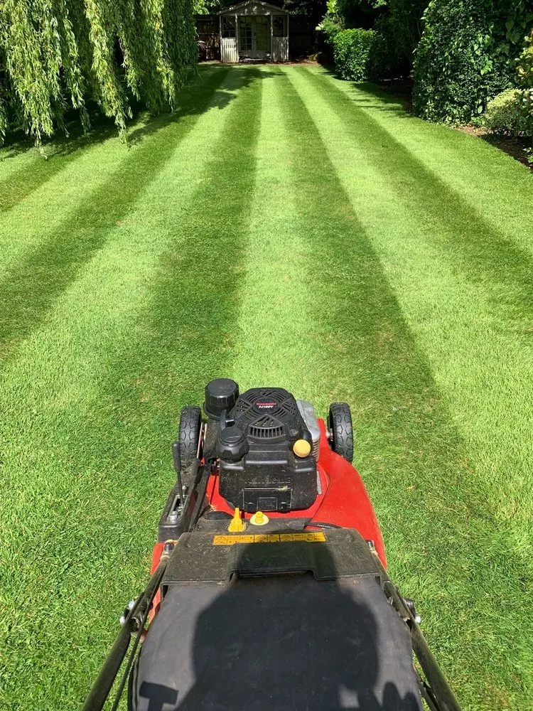 Top-rated yard cleanup service experts serving Wake Forest, NC - Bubba Cuts