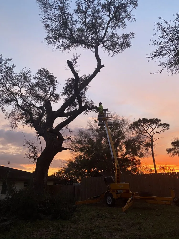 Custom lawn mowing service in St Cloud, FL by Bubba Stumps Lawn Care and Services