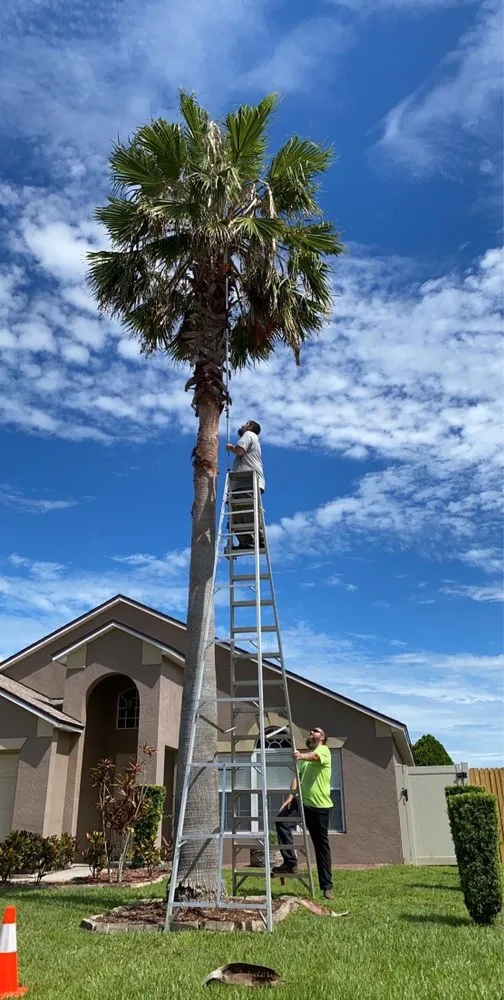 Custom outdoor landscaping for homes across St Cloud, FL - Bubba Stumps Lawn Care and Services