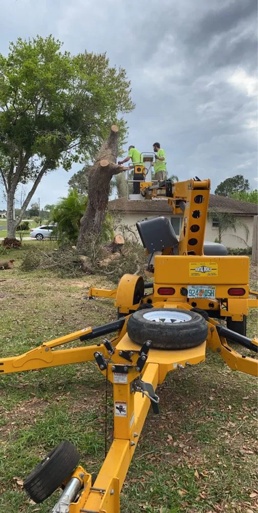 Custom garden landscaping in St Cloud, FL by Bubba Stumps Lawn Care and Services