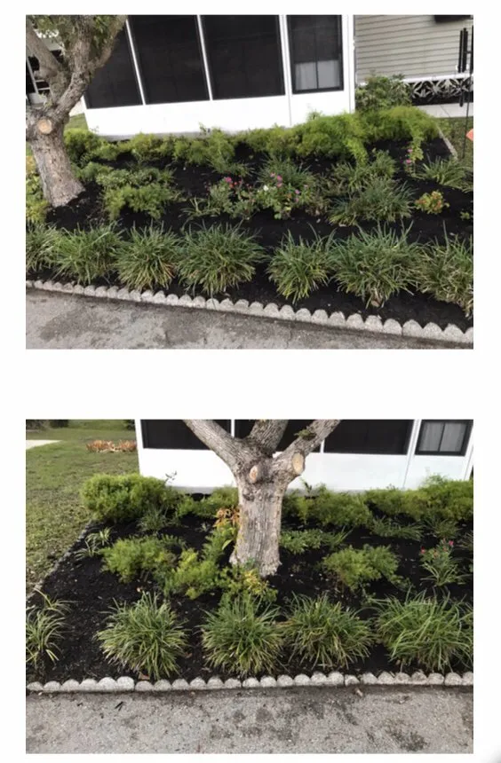 Top-rated yard cleanup service for homes in St Cloud, FL by Bubba Stumps Lawn Care and Services