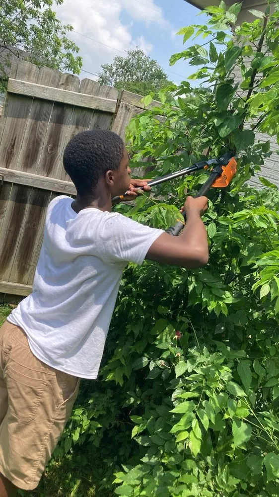 Professional yard maintenance experts serving Little Rock, AR - Bubba The Yard Man