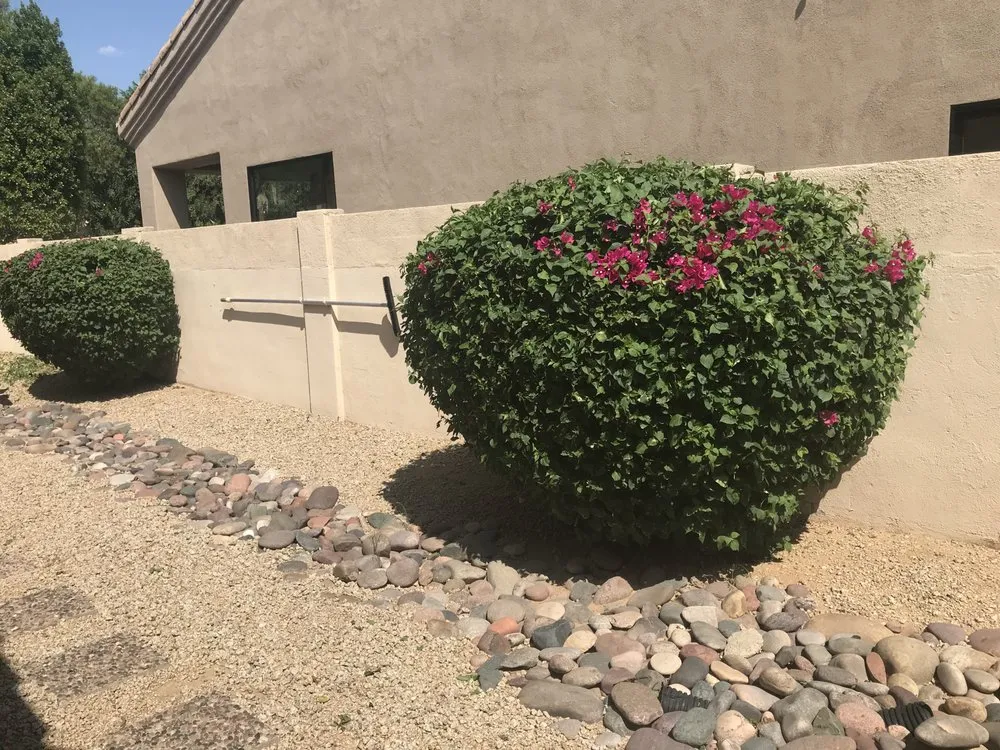 Expert garden landscaping in Peoria, AZ - Bubbas Elite Landscaping