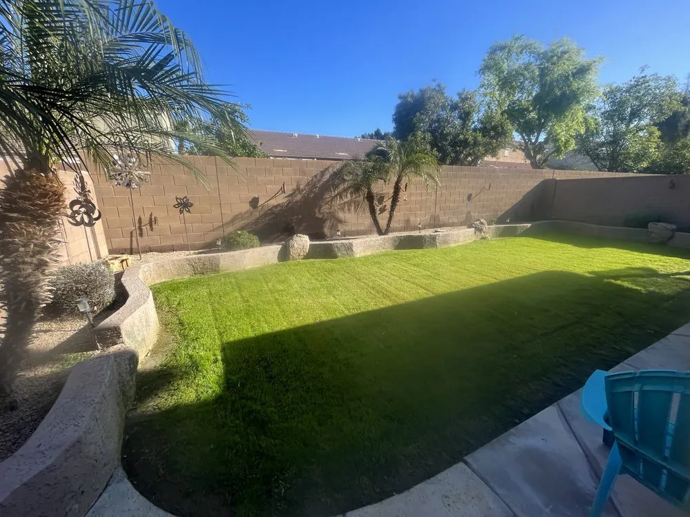 Professional yard cleanup service experts serving Peoria, AZ - Bubbas Elite Landscaping