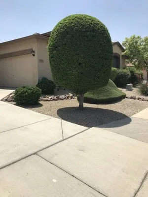 Bubbas Elite Landscaping Logo