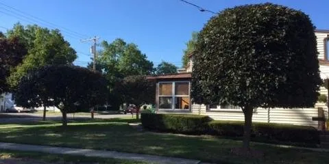 Local yard cleanup service in LeRoy, NY - Bubba's Landscape
