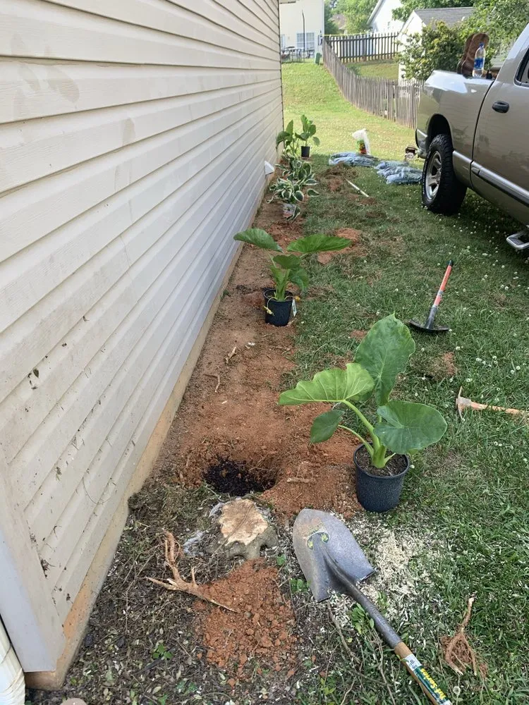 Reliable residential landscaping in Guyton, GA - Bubba’s Landscaping and More