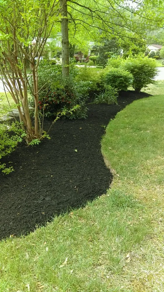 Reliable landscaping services in Powell, TN - Bubba's Lawn and More