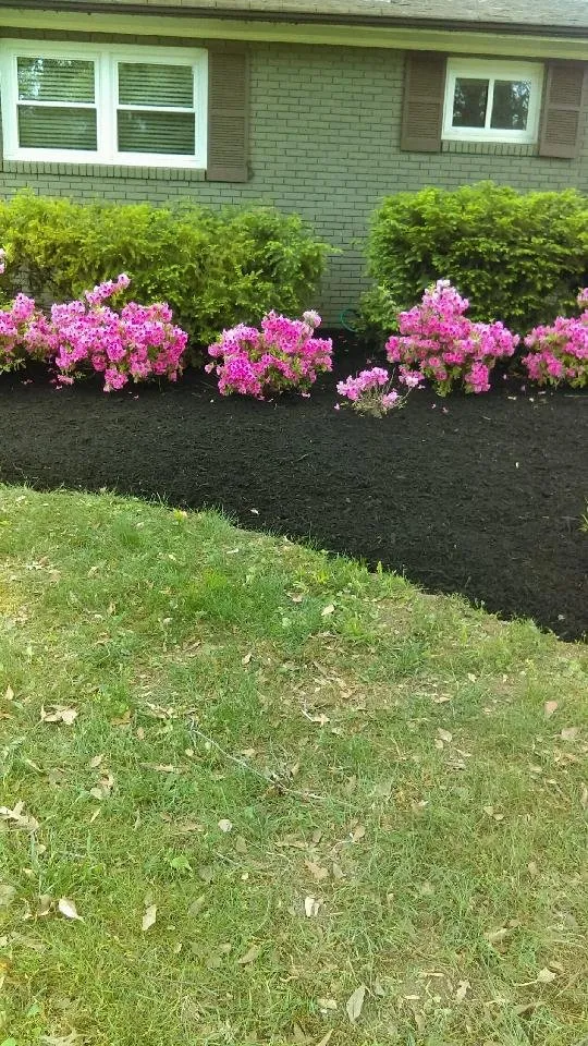 Local landscape installation for year-round maintenance across Powell, TN - Bubba's Lawn and More