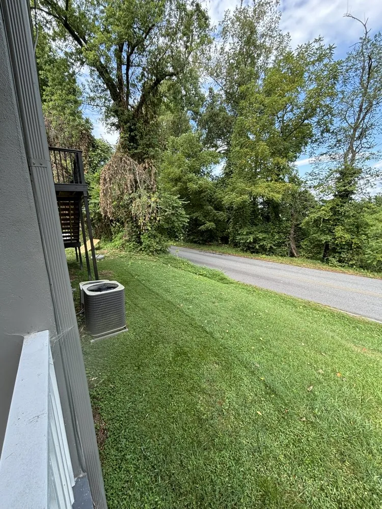 Affordable outdoor landscaping in Newton, NC by Bubbas Lawn Care and Handyman