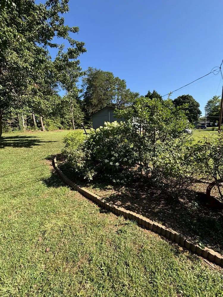 Professional yard cleanup service for residential properties in Newton, NC by Bubbas Lawn Care and Handyman