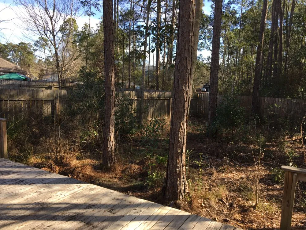 Reliable lawn care service for year-round maintenance in Bay St. Louis, MS by Bubba's Lawn Care and More