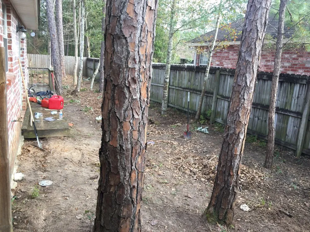 Local lawn care service for residential properties in Bay St. Louis, MS by Bubba's Lawn Care and More