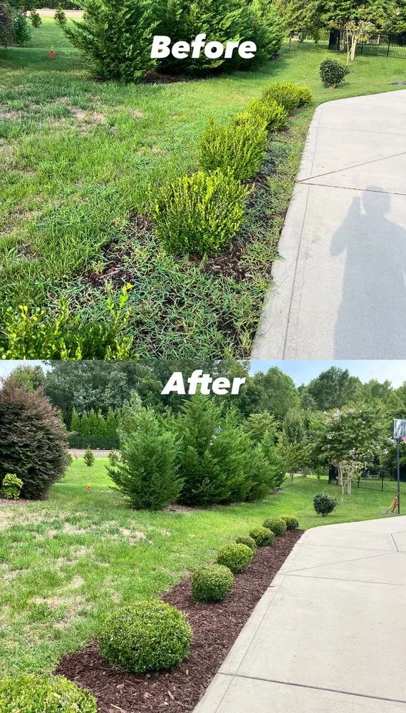 Trusted lawn care service in Concord, NC by Bubbas Lawn Care