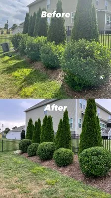 Bubbas Lawn Care Logo